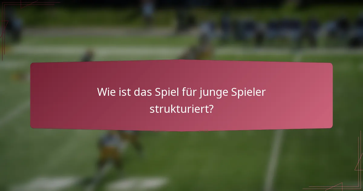 Wie ist das Spiel für junge Spieler strukturiert?