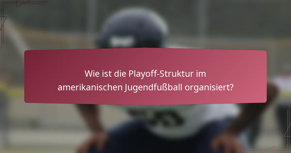 Wie ist die Playoff-Struktur im amerikanischen Jugendfußball organisiert?