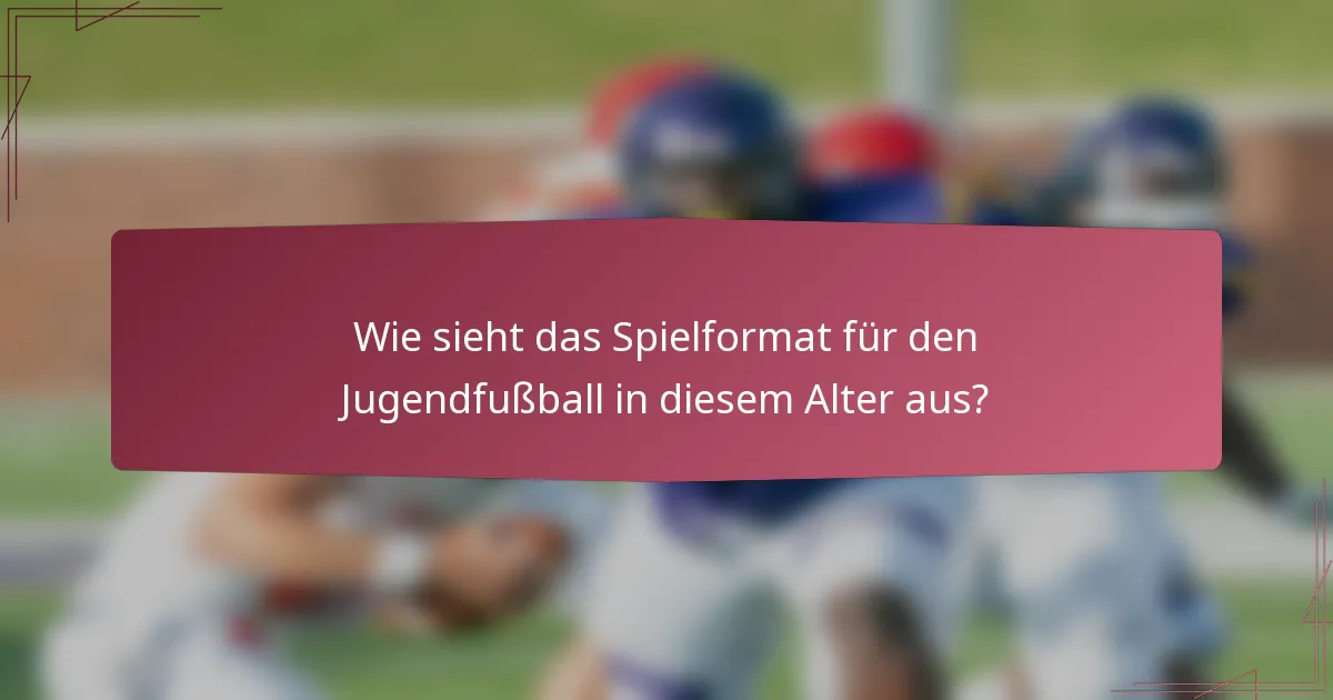 Wie sieht das Spielformat für den Jugendfußball in diesem Alter aus?